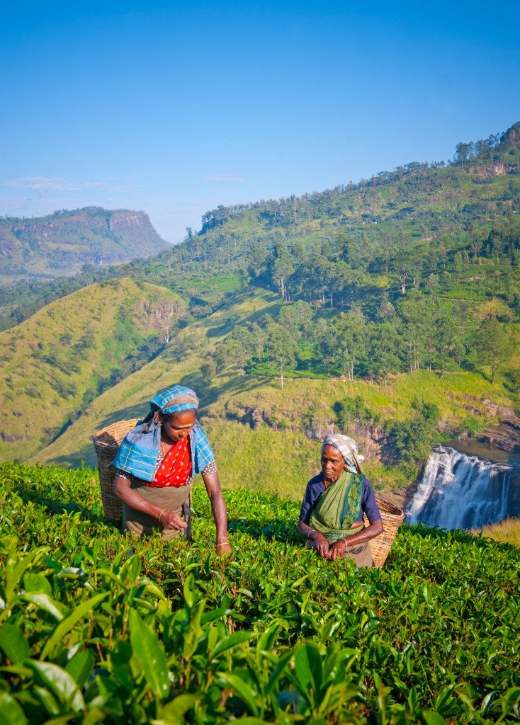 Chutes de Ramboda, plantations de thé et lac Gregory à Nuwara Eliya